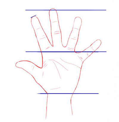 Как рисовать руки пропорции